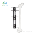 /msite/products/detail/productid/62969082/id/1514742.html
